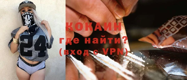 гашик Белокуриха