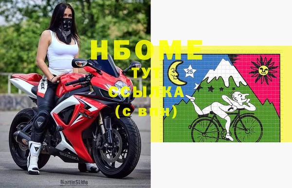 гашик Белокуриха
